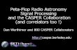 Peta-Flop Radio Astronomy