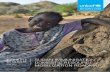 sudan immunisation domestic resource mobilization roadmap ...