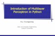 Introduction of Multilayer Perceptron in Python