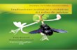 Implicaciones ecológicas y evolutivas del robo de néctar