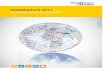 REN21 Renewables 2011 Global Status Report