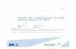 SESAR JU Consolidated Annual Activity Report for 2017