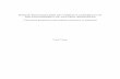Institutionalization of conflict capability in the management of ...