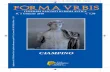 2010_Ciampino/Supplemento Forma Urbis
