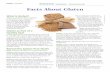 Facts About Gluten