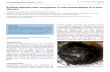 Bullous aplasia cutis congenita: A rare presentation of a rare disease