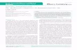 5α- Reductase Inhibitors in Prostate Cancer: An Overview