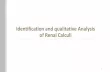 Identification and qualitative Analysis of Renal Calculi