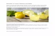 7 Benefits of Lemon sharbat  and Water.pdf