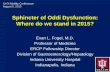 Sphincter of Oddi Dysfunction: Where do we stand in 2015?