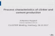 Process characteristics of clinker and cement production