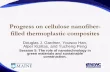 Progress on cellulose nanofiberfilled thermoplastic composites
