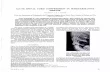 ACUTE SPINAL CORD COMPRESSION IN SCHEUERMANN’S DISEASE