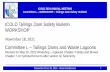 ICOLD Tailings Dam Safety Bulletin WORKSHOP