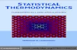STATISTICAL THERMODYNAMICS: FUNDAMENTALS AND APPLICATIONS