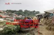 Rohingya Repatriation Survey