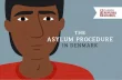 THE ASYLUM PROCEDURE IN DENMARK