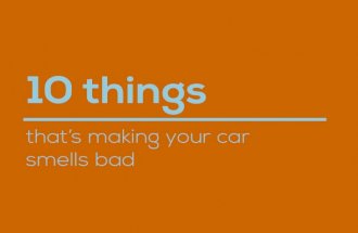 10 things that’s making your car smell bad