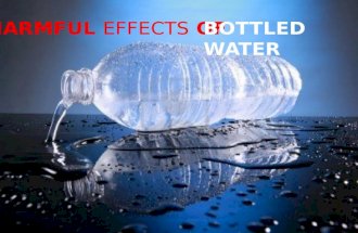 Harmful Effects Of Bottled Water