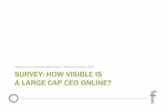 Survey: How visible is a large cap CEO online