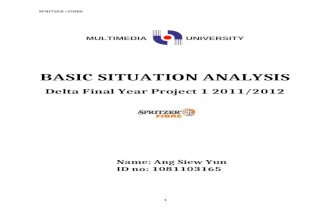 Situational Analysis 1081103165