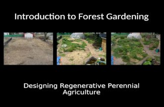 Introduction to Forest Gardening
