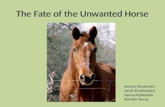 The Unwanted Horse