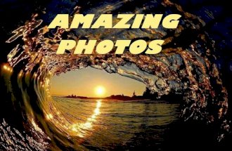 Amazing photos