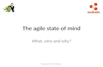 The agile state of mind