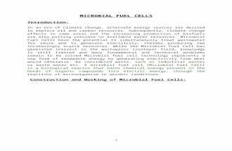 Microbial Fuel Cells Report
