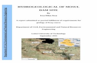 Hydro Loge Cal Mosul Dam Final Report
