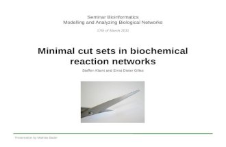 Minimal Cut Sets in Biochemical Reaction Networks