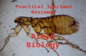 Specimen Reviewer (Field Bio)