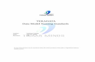 TeradataNamingStandards_Ver_1.0