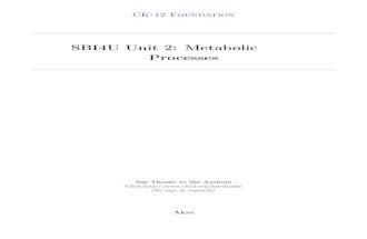 Sbi4u Unit 2 Metabolic Processes