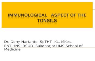 Immunology Tonsil 2