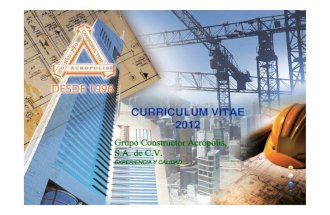 Curriculum Vitae Mayo 2012