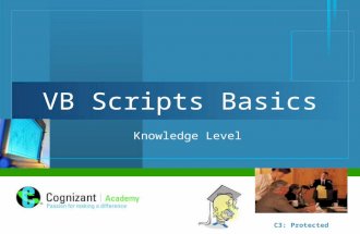 VB Scripts Basics