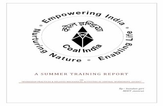 Ncl Summer Training Report