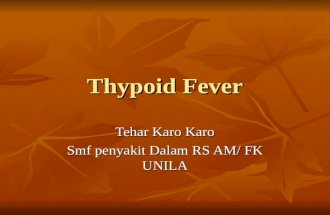 Kuliah Typhoid 2