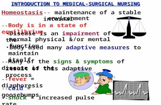 Intro To Med-Surge