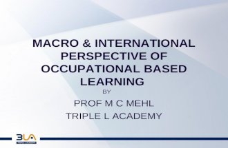 MACRO & INTERNATIONAL PERSPECTIVE OF OCCUPATIONAL BASED LEARNING