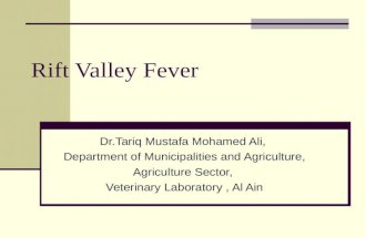 Rift valley fever