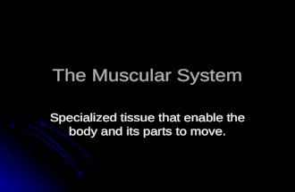 The muscular-system-powerpoint dr. bantiles