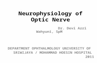 Neurofisiologi Optic Nerve