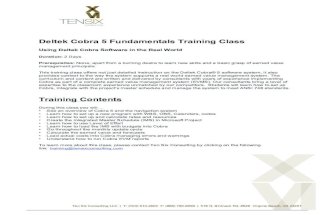 Deltek Cobra 5 Fundamentals Training