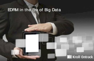 EDRM in the Era of Big Data
