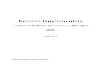 Netezza fundamentals for developers