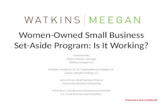 Women-Owned Small Business Set-Aside Program:  Is it Working?