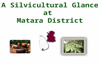 A Silvicultural Glance on Matara district